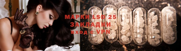 мдпв Богородицк