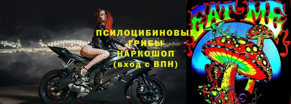 мдпв Богородицк