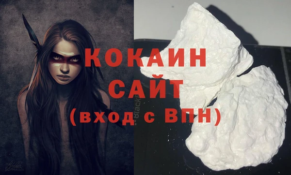 гашик Ветлуга