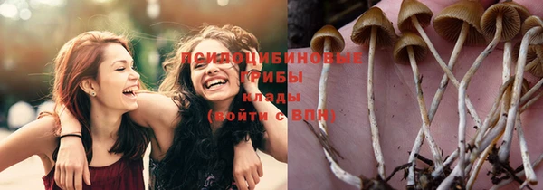 гидра Весьегонск